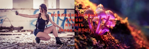 эйфоретик Пролетарск