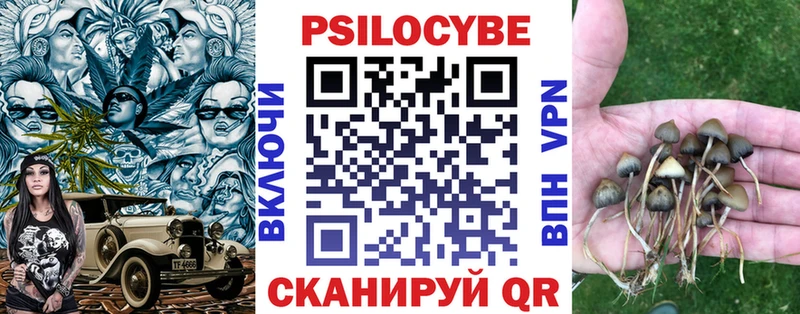 Псилоцибиновые грибы Psilocybe  shop формула  Прохладный  купить наркотики сайты 